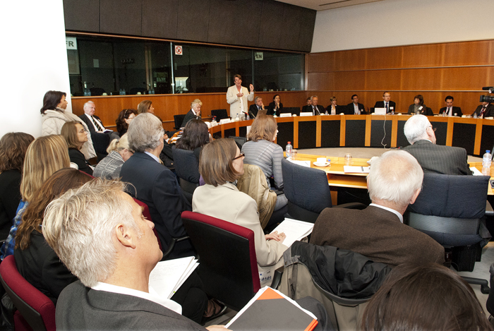 IMI session at the European Parliament, 6 October 2011. Photo - Simon Pugh