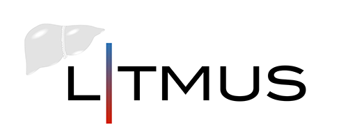 LITMUS logo
