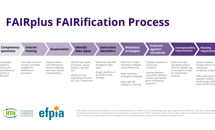 fairification process