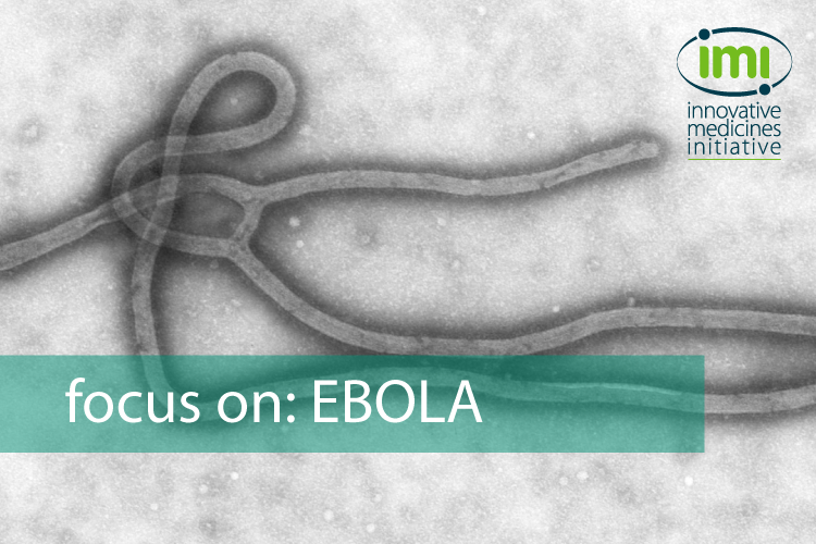 ebola_focus