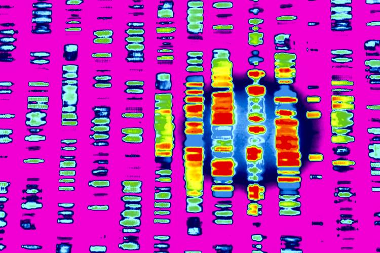 DNA by Gio.tto via Shutterstock