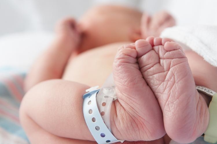 Close-up of the feet of a newborn baby. Image by aviahuisman via Shutterstock.