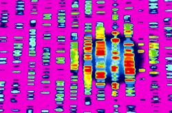 DNA by Gio.tto via Shutterstock